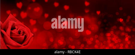 one red rose on hearts shaped and red blur lights background in panoramic size Stock Photo