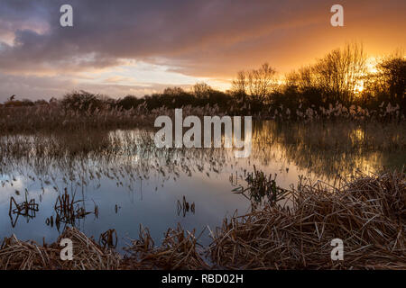 Barton-upon-Humber, Lincolnshire, UK. 9th January, 2019. UK Weather: A dramatic sunrise at a Lincolnshire Wildlife Trust Nature Reserve. Barton-upon-Humber, North Lincolnshire, UK. 9th January 2019. Credit: LEE BEEL/Alamy Live News Stock Photo