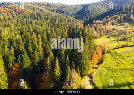 aerial view of autumn rural area, Yaremche, Ivano-Frankivsk  Oblast, Ukraine Stock Photo