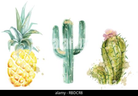 Pineapple and cactus set Vector watercolor. Exotic tropic collection painted style Stock Vector