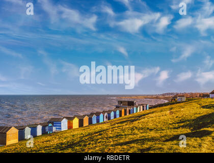 Row of beach huts along the coast in Tankerton, Whitstable, Kent. The green grass slopes are behind the huts and a man strolling along the grass. The  Stock Photo