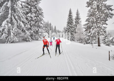 Jakuszyce, Poland - January 06, 2017: Cross-country skiers on trail after heavy snowfalls. For over 30 years Jakuszyce has been the host of the Piast  Stock Photo