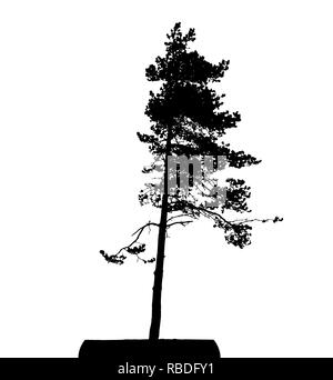 Tree Silhouette Isolated on White Backgorund. Vecrtor Illustration. EPS10 Stock Vector