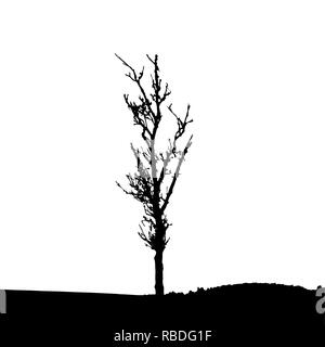 Tree Silhouette Isolated on White Backgorund. Vecrtor Illustration. EPS10 Stock Vector