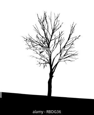 Tree Silhouette Isolated on White Backgorund. Vecrtor Illustration. EPS10 Stock Vector