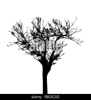 Tree Silhouette Isolated on White Backgorund. Vecrtor Illustration. EPS10 Stock Vector