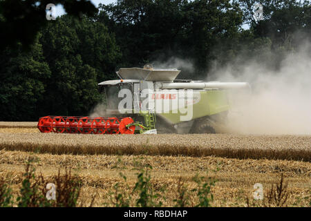 Combine Harvester Stock Photo