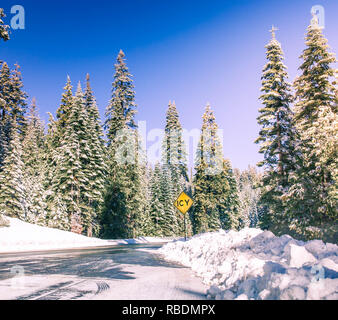 Icy country road in snowy forest in winter. Winter landscape with snowy road. Road closed sign in snowy road in a winter forest Stock Photo