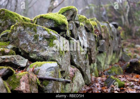 moss covered old crumbled stone fence Stock Photo