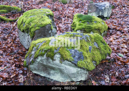 three large rocks covered in moss Stock Photo