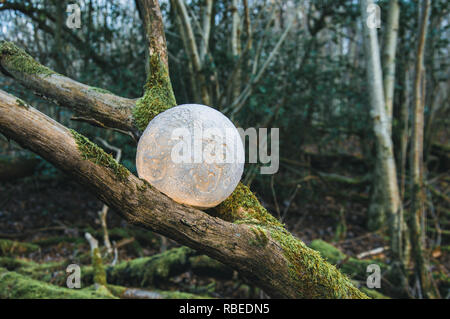 A conceptual photograph of a glowing moon between the green moss of tree branches in a wood in winter. With a muted dark edit. Stock Photo