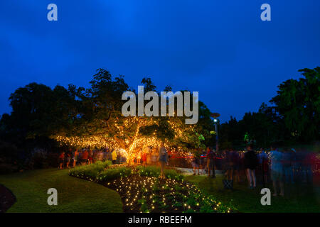 The magical Enchanted Gardens in Roma Street Parklands, Brisbane, Australia. Stock Photo