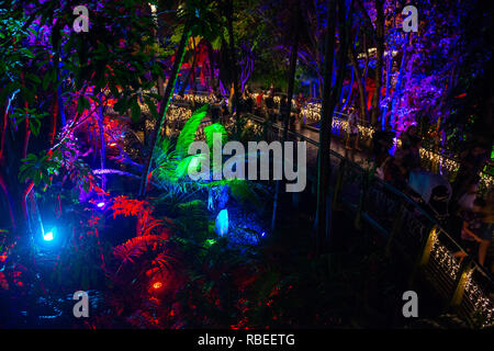 The magical Enchanted Gardens in Roma Street Parklands, Brisbane, Australia. Stock Photo