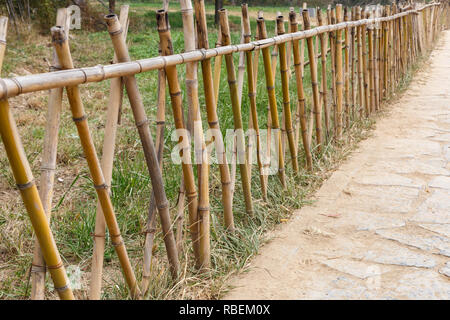 Bamboo fence along a footpath in a park Stock Photo