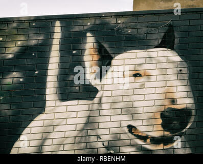 dog graffitti on a wall, fitzroy-melbourne Stock Photo