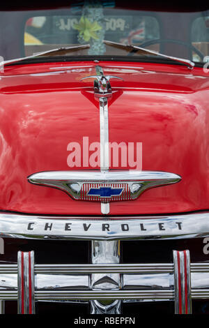 1954 Chevrolet 3100 pickup truck Stock Photo