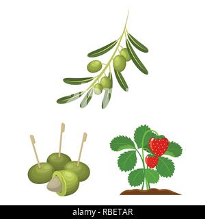 food,honeysuckle,branch,olive,bone,berry,fruit,forest,redberry,fresh,cocktail,medicine,autumn,sweet,health,set,vector,icon,illustration,isolated,collection,design,element,graphic,sign,cartoon,color, Vector Vectors , Stock Vector