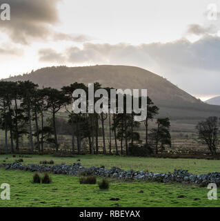 Winter afternoon landscape near Hutton village, in the northern Lake District near Penrith. Great Mell Fell. Stock Photo