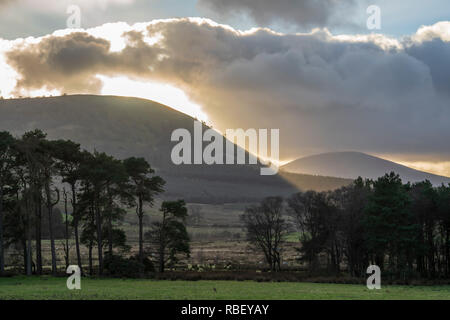 Winter afternoon landscape near Hutton village, in the northern Lake District near Penrith, with Great Mell Fell. Stock Photo