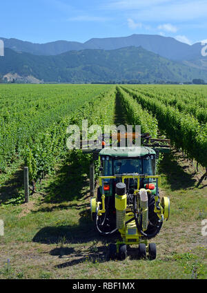 Closeup view of a Leaf Removal Machine in a Sauvignon Blanc Vineyard located in the Wairau Valley, Marlborough, New Zealand. Stock Photo