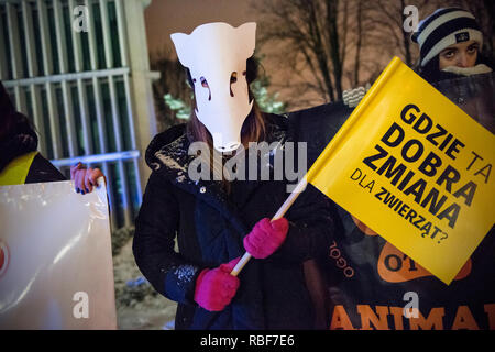 An activist seen wearing a wild boar mask while holding a placard during a protest against a government plan to slaughter more than 200,000 wild boars, including sows, weaners and animals in National parks, as part of a campaign against ASF (African Swine Disease) disease. Campaigners says the policy is inept and will almost exterminate the entire wild board population. The Ministry of Environment said they would implement slaughter during the next three weekends. Stock Photo