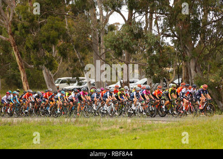 Adelaide, Australia. 10th January, 2019. Teams competing in Stage 1 of the 2019 Women's Tour Down Under riding through the town of Hahndorf. Adelaide Australia. Credit: Russell Mountford/Alamy Live News Stock Photo