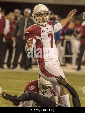 Arizona Cardinals kicker Chandler Catanzaro (7) during an NFL football game  against the New England Patriots, Sunday, Sept. 11, 2016, in Glendale,  Ariz. (AP Photo/Rick Scuteri Stock Photo - Alamy