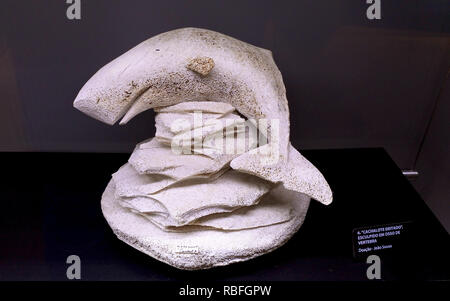 17 November 2018, Portugal, Funchal/Canical: Works from whale bones are exhibited in the whale museum in Canial on the Portuguese island of Madeira. The Whale Museum is dedicated to the history of the whaling industry in Madeira. Photo: Holger Hollemann/dpa Stock Photo