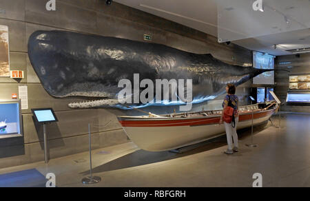 17 November 2018, Portugal, Funchal/Canical: A model of a whale is exhibited in the Whale Museum in Canial on the Portuguese island of Madeira. The Whale Museum is dedicated to the history of the whaling industry in Madeira. Photo: Holger Hollemann/dpa Stock Photo