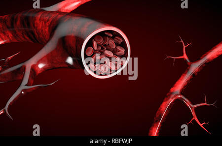 Realistic detailed 3d normal blood flow Royalty Free Vector