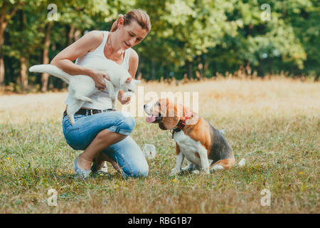Young woman squaring on a grass introducing her white cat to a beagle outdoors in the park. Stock Photo