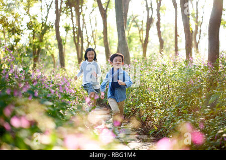 two little asian children boy and girl running through field of flowers in park. Stock Photo