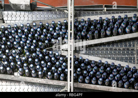 Obernai (north-eastern France): Kronenbourg Brasserie,Obernai (north-eastern France). 2015/05/27. Bottling line with glass bottles '1664' (pale lager) Stock Photo