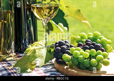 Bunch of fresh grapes next to wine in a bottle and wineglass  on the background of a rustic vineyard and sunlight. Stock Photo