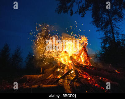 Bright fire on a dark night in forest glade. Stock Photo