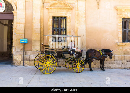 A traditional horse drawn carriage in Piazza Duomo (Cathedral Square), main attraction for the baroque architecture of the island of Ortygia. Stock Photo