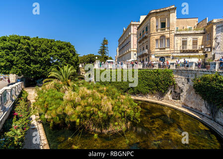 View of the famous natural Fountain of Arethusa in the waterfront of Ortigia island on a sunny and warm summer day, with crystal clear water and ducks Stock Photo