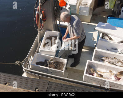Local fisherman in his boat selling fresh catch of the day direct from the Oslo fjord in the central harbor in the Norwegian capital Stock Photo