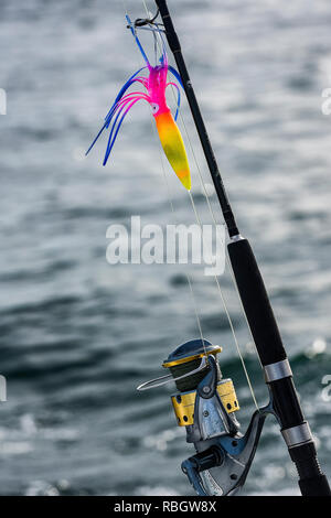 Saltwater fishing rod and lure Stock Photo - Alamy