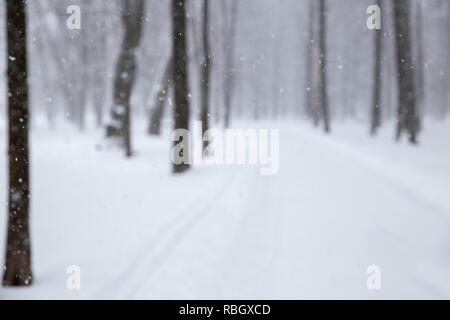 Winter background. Falling snow on background of blurred park Stock Photo