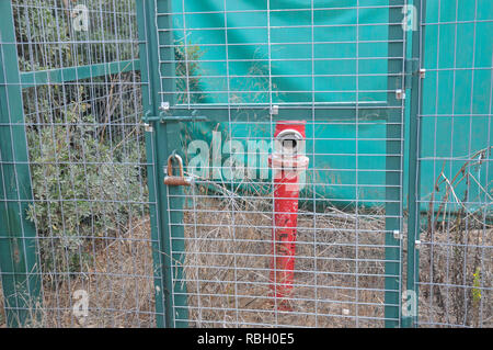 fire hydrant locked in a cage Hamasrek (Comb) Nature reserve is a forest located in the Jerusalem Hills, Israel Stock Photo