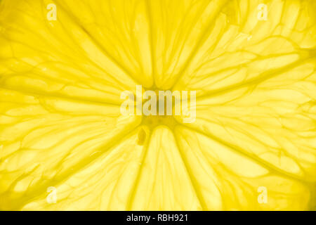 Fresh lemon slice detail backlit close-up view Stock Photo