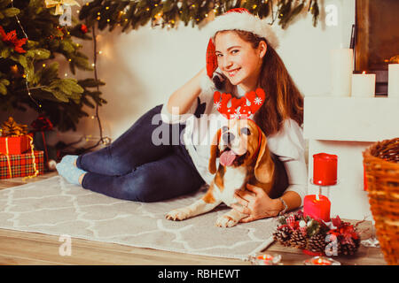dog under the christmas tree at home, Stock Photo