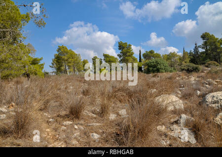 Israel, Judean Mountains, Tel Azekah or (Tell Azekah) has been ...