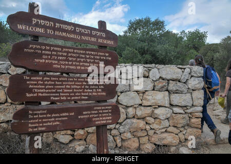 Hamasrek (Comb) Nature reserve is a forest located in the Jerusalem Hills, Israel Stock Photo