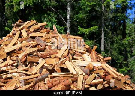 Heap of chopped and halved pine firewood stored at the edge of forest on a sunny day of summer. Stock Photo