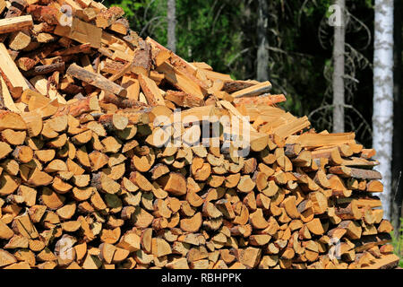 Chopped, halved and neatly stacked firewood stored at the edge of forest in the summer. Stock Photo