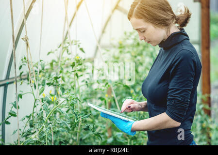 Woman specialist agronomist holding a tablet. Concept of environmentally friendly production on farms Stock Photo