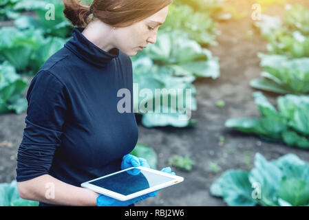 Woman agronomist specialist on the farm field holding a tablet. The concept of quality control in the production Stock Photo