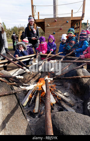 Children cooking bannock campfire bread on sticks over an open fire Stock Photo